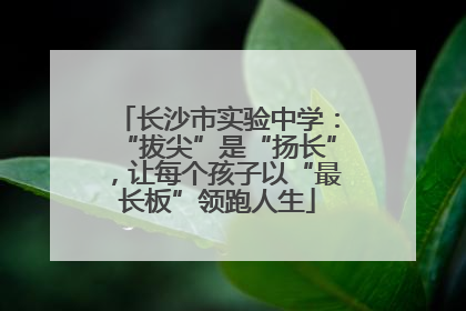 长沙市实验中学：“拔尖”是“扬长”，让每个孩子以“最长板”领跑人生