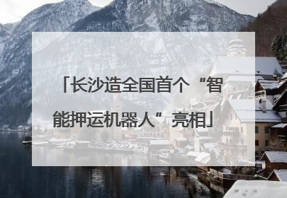 长沙造全国首个“智能押运机器人”亮相