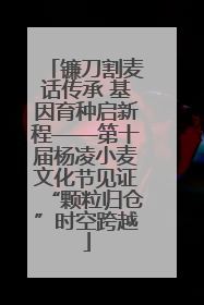 镰刀割麦话传承 基因育种启新程——第十届杨凌小麦文化节见证“颗粒归仓”时空跨越