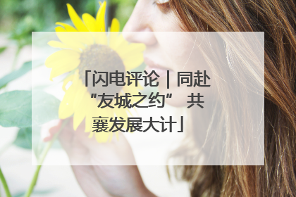 闪电评论｜同赴“友城之约” 共襄发展大计