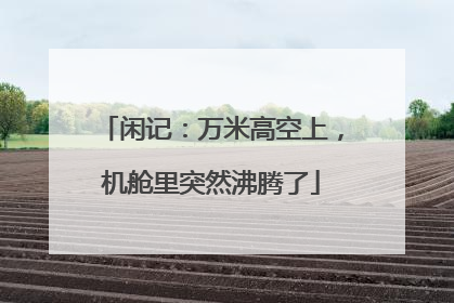 闲记：万米高空上，机舱里突然沸腾了