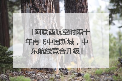 阿联酋航空时隔十年再飞中国新城，中东航线竞合升级