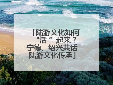 陆游文化如何“活 ”起来？宁德、绍兴共话陆游文化传承