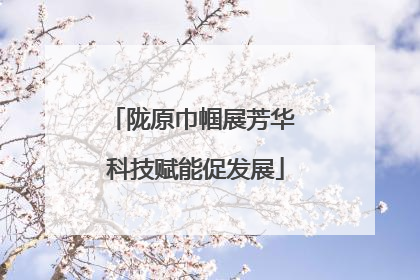 陇原巾帼展芳华 科技赋能促发展