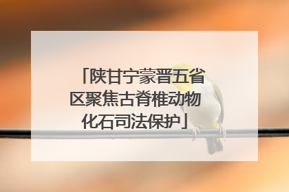 陕甘宁蒙晋五省区聚焦古脊椎动物化石司法保护
