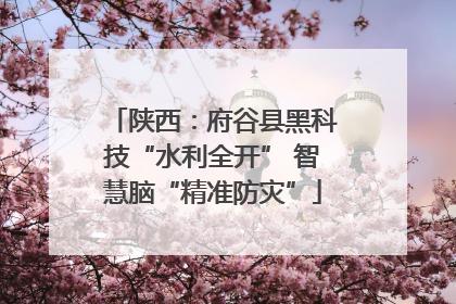 陕西：府谷县黑科技“水利全开” 智慧脑“精准防灾”