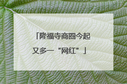 隆福寺商圈今起又多一“网红”