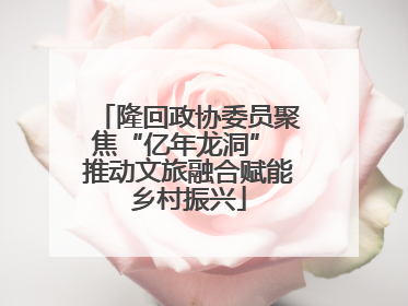 隆回政协委员聚焦“亿年龙洞” 推动文旅融合赋能乡村振兴
