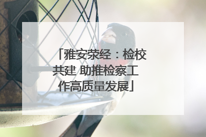 雅安荥经：检校共建 助推检察工作高质量发展