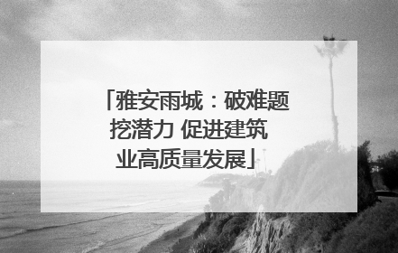 雅安雨城：破难题 挖潜力 促进建筑业高质量发展