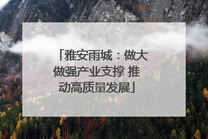 雅安雨城：做大做强产业支撑 推动高质量发展