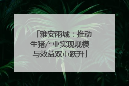 雅安雨城：推动生猪产业实现规模与效益双重跃升