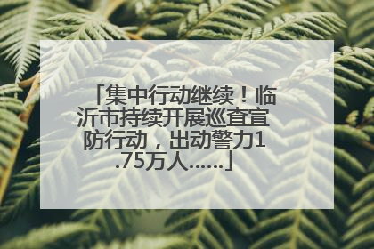 集中行动继续！临沂市持续开展巡查宣防行动，出动警力1.75万人……