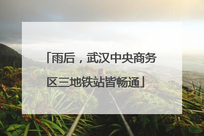 雨后，武汉中央商务区三地铁站皆畅通