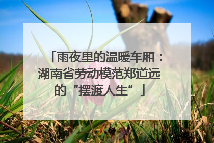 雨夜里的温暖车厢：湖南省劳动模范郑道远的“摆渡人生”