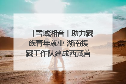 雪域湘音丨助力藏族青年就业 湖南援藏工作队建成西藏首个清洁能源装备园