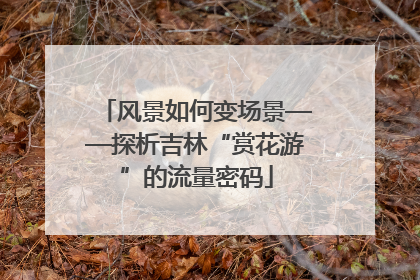风景如何变场景——探析吉林“赏花游”的流量密码