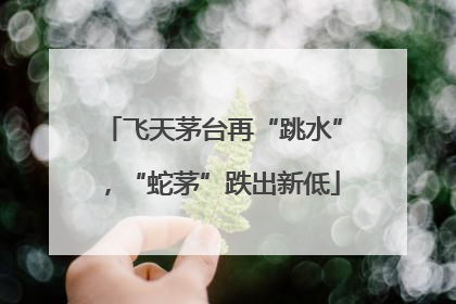 飞天茅台再“跳水”，“蛇茅”跌出新低