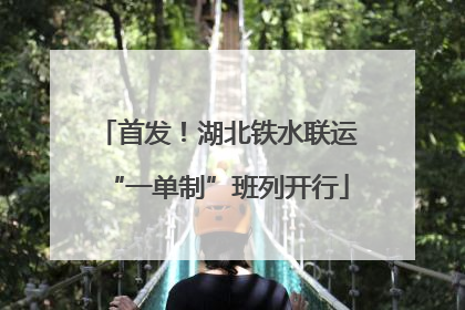 首发！湖北铁水联运“一单制”班列开行