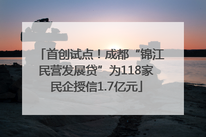 首创试点！成都“锦江民营发展贷”为118家民企授信1.7亿元