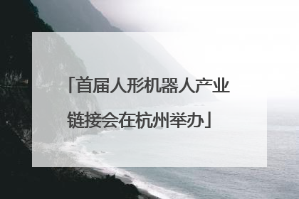 首届人形机器人产业链接会在杭州举办