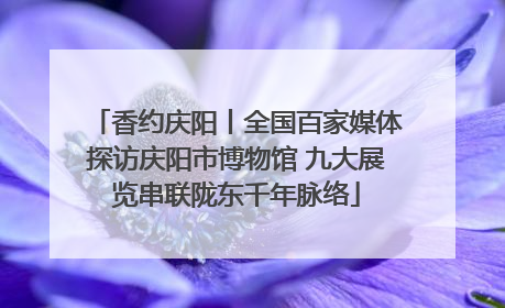 香约庆阳丨全国百家媒体探访庆阳市博物馆 九大展览串联陇东千年脉络