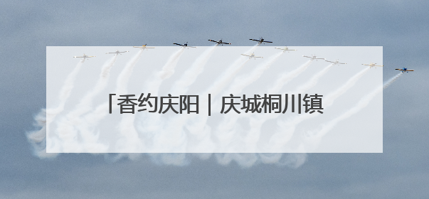 香约庆阳｜庆城桐川镇：创新求变 让“小苹果”做成“大产业”