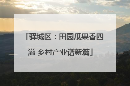 驿城区：田园瓜果香四溢 乡村产业谱新篇