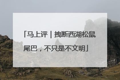 马上评|拽断西湖松鼠尾巴,不只是不文明
