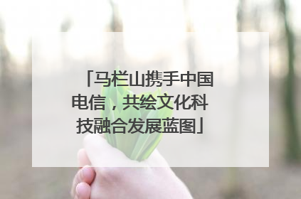 马栏山携手中国电信，共绘文化科技融合发展蓝图