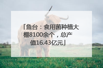 鱼台：食用菌种植大棚8100余个，总产值16.43亿元