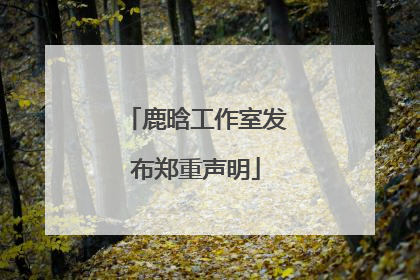 鹿晗工作室发布郑重声明
