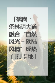 鹤岗：一条林荫大道融合“自然风光＋欧陆风情”成热门打卡地