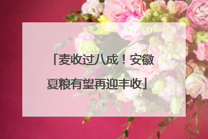 麦收过八成！安徽夏粮有望再迎丰收