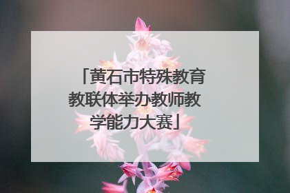 黄石市特殊教育教联体举办教师教学能力大赛