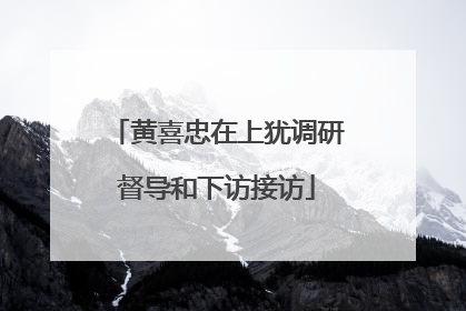 黄喜忠在上犹调研督导和下访接访