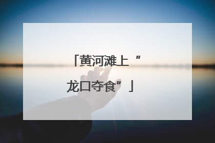 黄河滩上“龙口夺食”