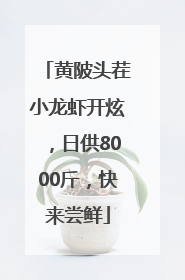 黄陂头茬小龙虾开炫，日供8000斤，快来尝鲜
