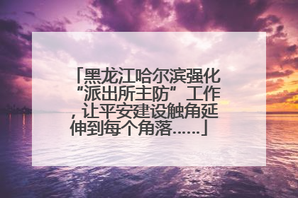 黑龙江哈尔滨强化“派出所主防”工作，让平安建设触角延伸到每个角落……