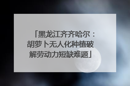 黑龙江齐齐哈尔：胡萝卜无人化种植破解劳动力短缺难题
