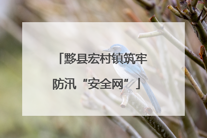 黟县宏村镇筑牢防汛“安全网”