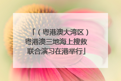 （粤港澳大湾区）粤港澳三地海上搜救联合演习在港举行