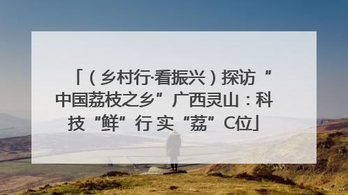 （乡村行·看振兴）探访“中国荔枝之乡”广西灵山：科技“鲜”行 实“荔”C位