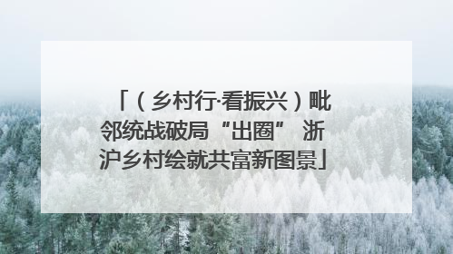 （乡村行·看振兴）毗邻统战破局“出圈” 浙沪乡村绘就共富新图景