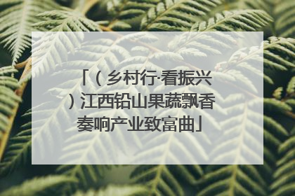 （乡村行·看振兴）江西铅山果蔬飘香 奏响产业致富曲