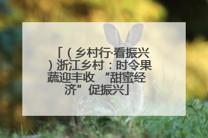 （乡村行·看振兴）浙江乡村：时令果蔬迎丰收 “甜蜜经济”促振兴