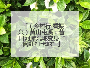 （乡村行·看振兴）黄山屯溪：昔日河滩荒地变身“网红打卡地”