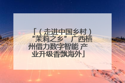 （走进中国乡村）“茉莉之乡”广西横州借力数字智能 产业升级香飘海外