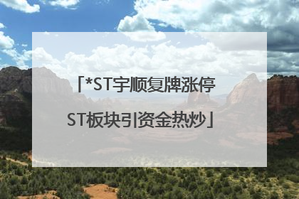 *ST宇顺复牌涨停 ST板块引资金热炒
