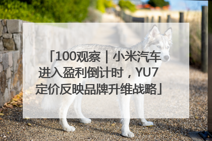 100观察｜小米汽车进入盈利倒计时，YU7定价反映品牌升维战略